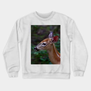 Fawn - White-tailed Deer Crewneck Sweatshirt